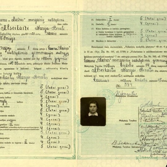 Iliustracija